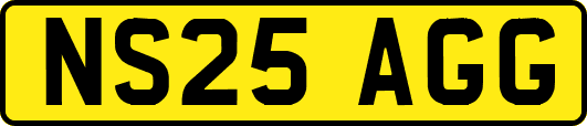 NS25AGG