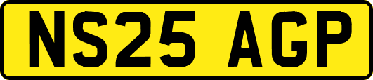 NS25AGP