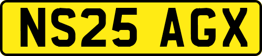 NS25AGX