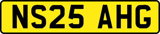 NS25AHG