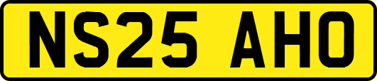 NS25AHO