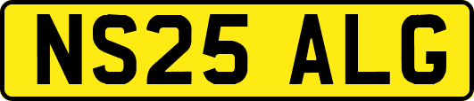NS25ALG