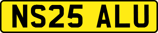 NS25ALU