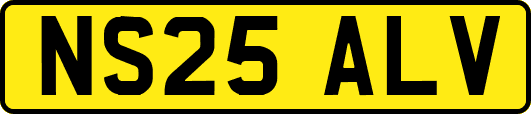 NS25ALV