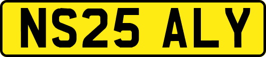 NS25ALY