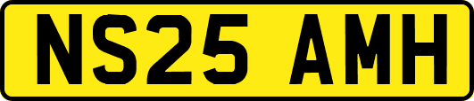 NS25AMH