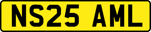 NS25AML