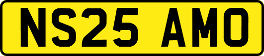 NS25AMO