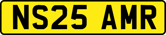 NS25AMR