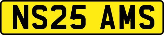 NS25AMS
