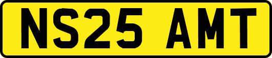 NS25AMT