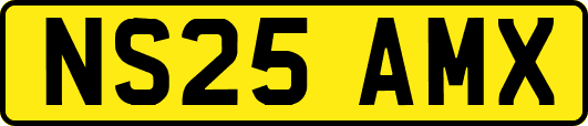 NS25AMX