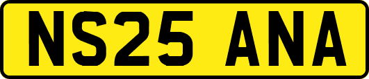 NS25ANA