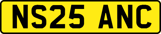 NS25ANC