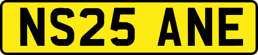 NS25ANE