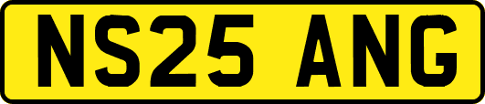 NS25ANG