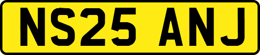 NS25ANJ