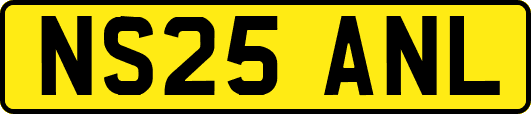 NS25ANL