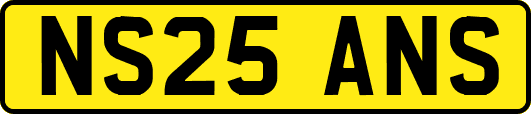 NS25ANS