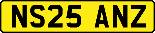 NS25ANZ