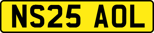 NS25AOL