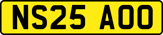 NS25AOO