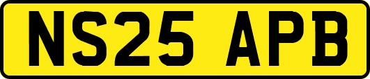 NS25APB