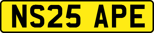 NS25APE