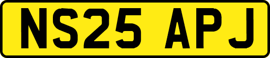 NS25APJ