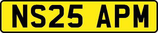 NS25APM