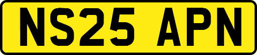 NS25APN