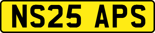 NS25APS