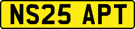 NS25APT