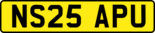 NS25APU