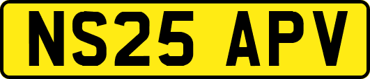 NS25APV