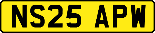 NS25APW