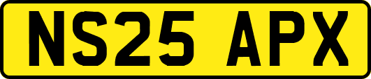 NS25APX