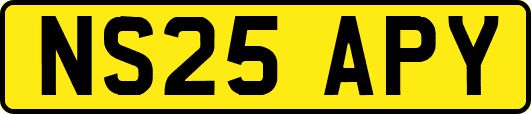 NS25APY