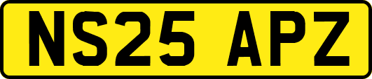 NS25APZ
