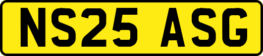 NS25ASG