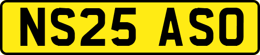 NS25ASO
