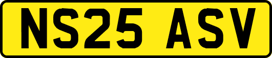 NS25ASV