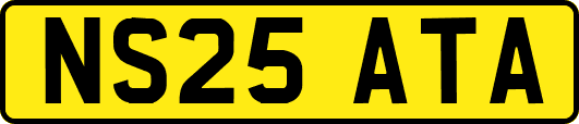 NS25ATA