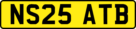 NS25ATB