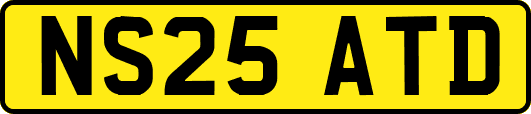 NS25ATD