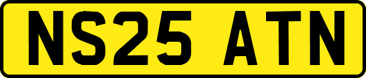 NS25ATN
