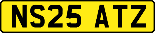 NS25ATZ
