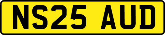 NS25AUD