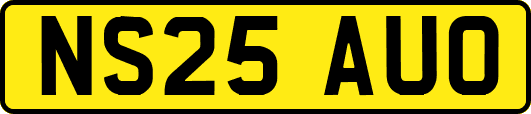 NS25AUO