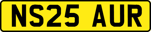 NS25AUR